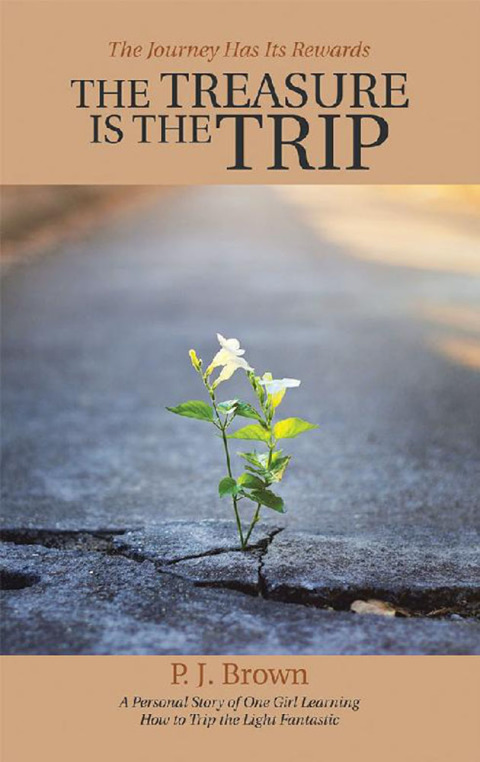 Cover image for book The Treasure Is the Trip