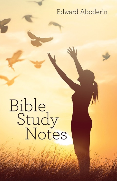 Cover image for book Bible Study Notes