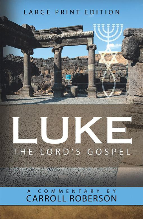 Cover image for book Luke the Lord’S Gospel