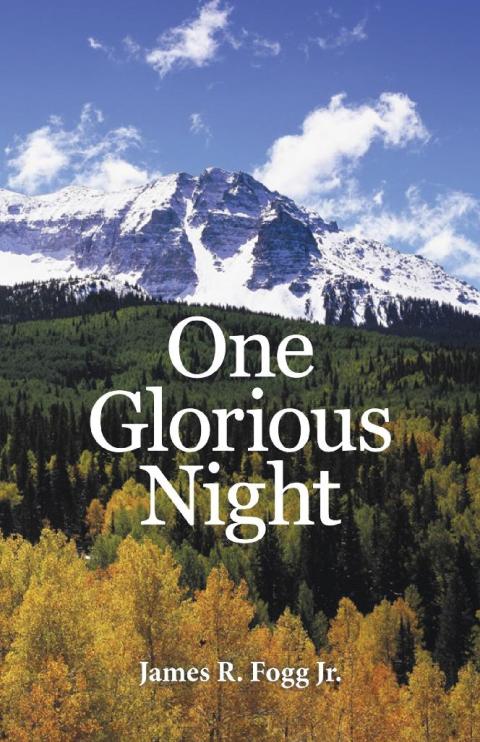 Cover image for book One Glorious Night