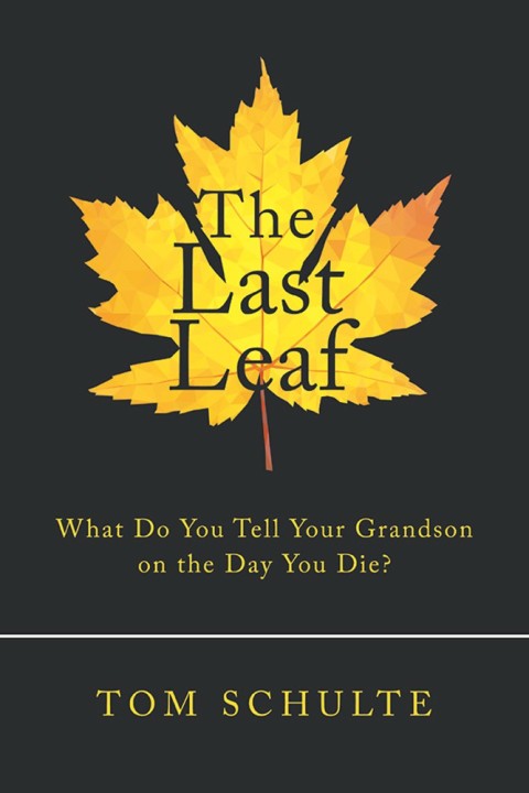 Cover image for book The Last Leaf