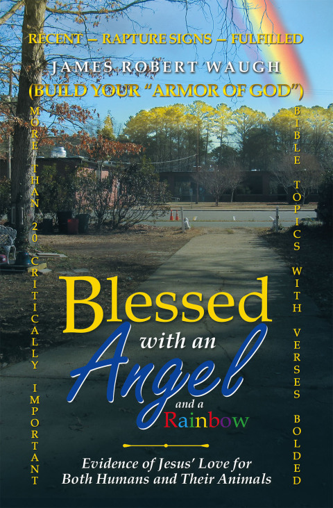 Cover image for book Blessed with an Angel and a Rainbow