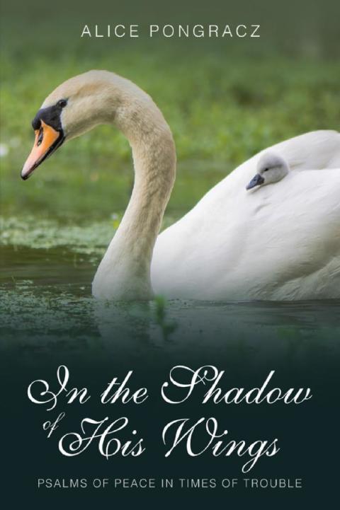 Cover image for book In the Shadow of His Wings