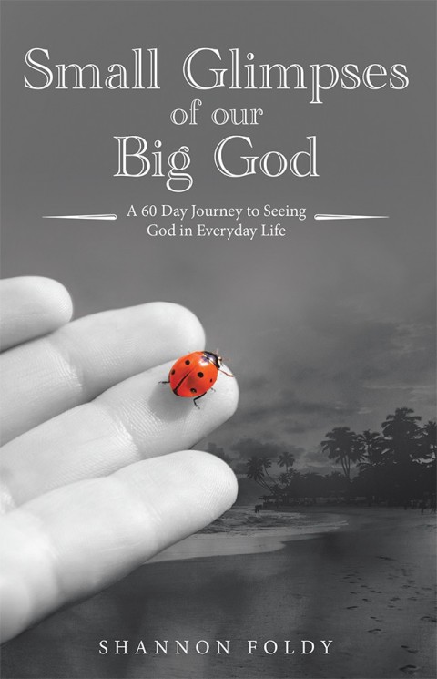 Cover image for book Small Glimpses of Our Big God
