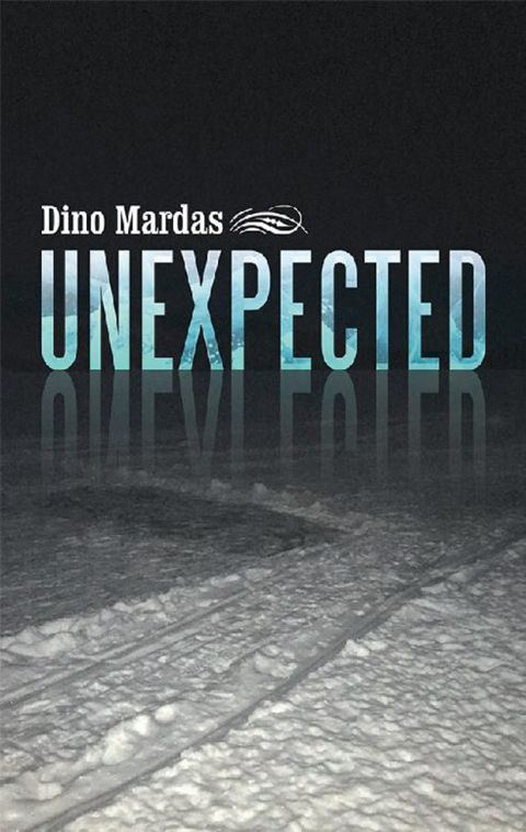 Cover image for book Unexpected