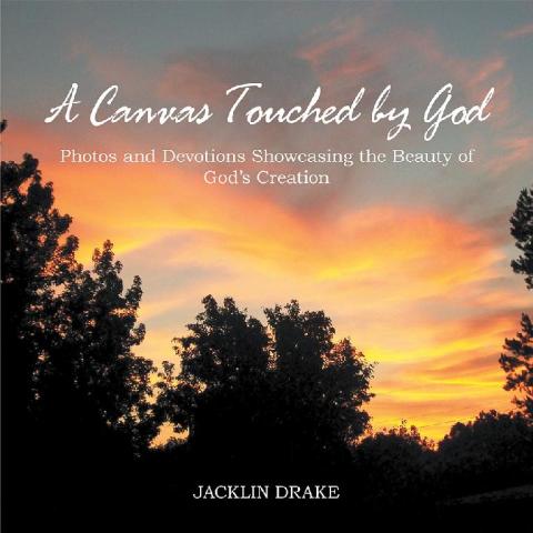 Cover image for book A Canvas Touched by God