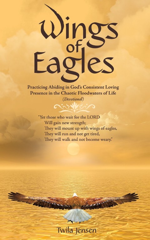 Cover image for book Wings of Eagles