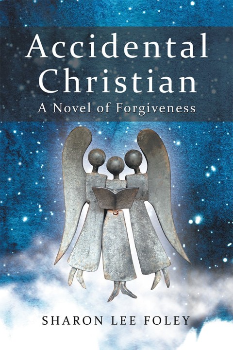 Cover image for book Accidental Christian