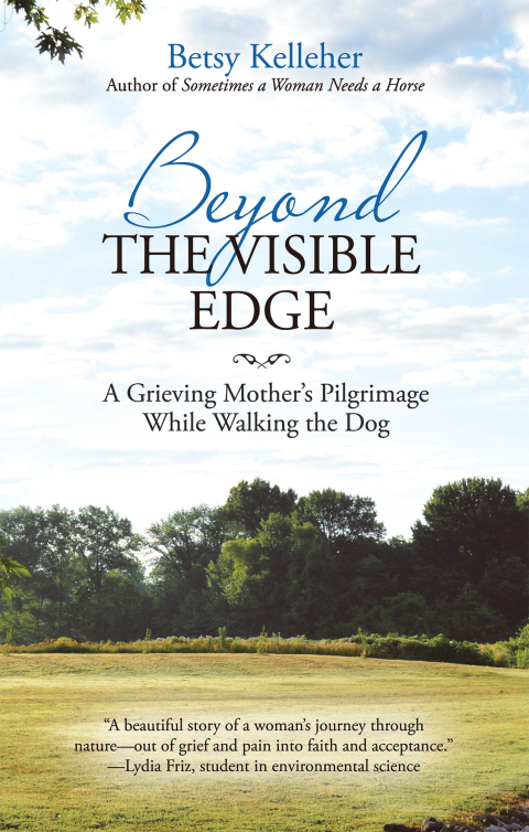 Cover image for book Beyond the Visible Edge