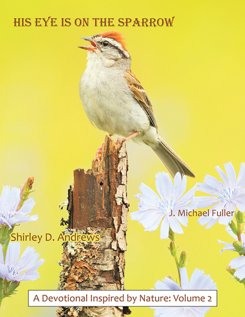 Cover image for book HIS Eye is on the Sparrow