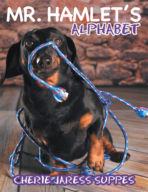 Cover image for book Mr. Hamlet’S Alphabet