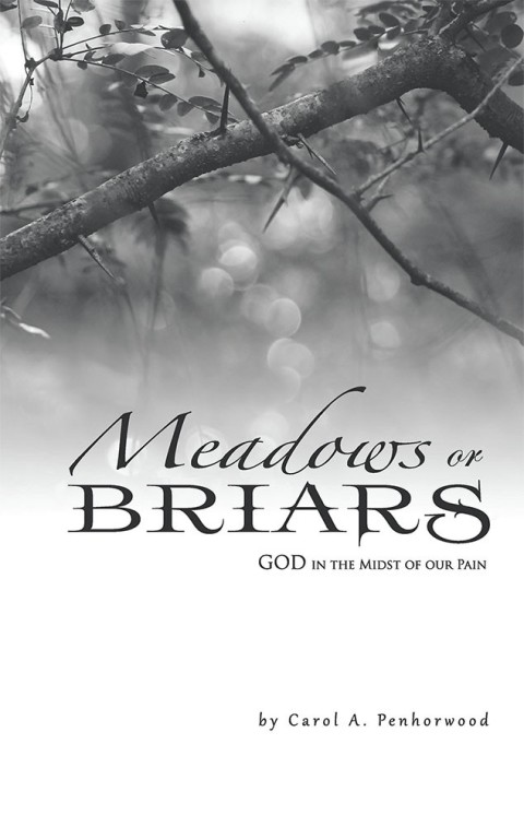 Cover image for book Meadows or Briars
