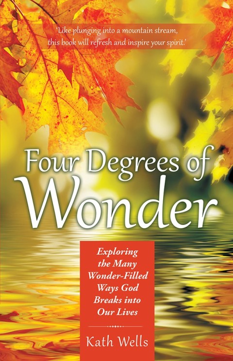Cover image for book Four Degrees of Wonder