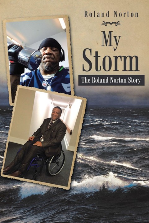 Cover image for book My Storm