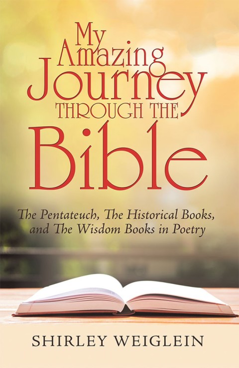 Cover image for book My Amazing Journey Through the Bible