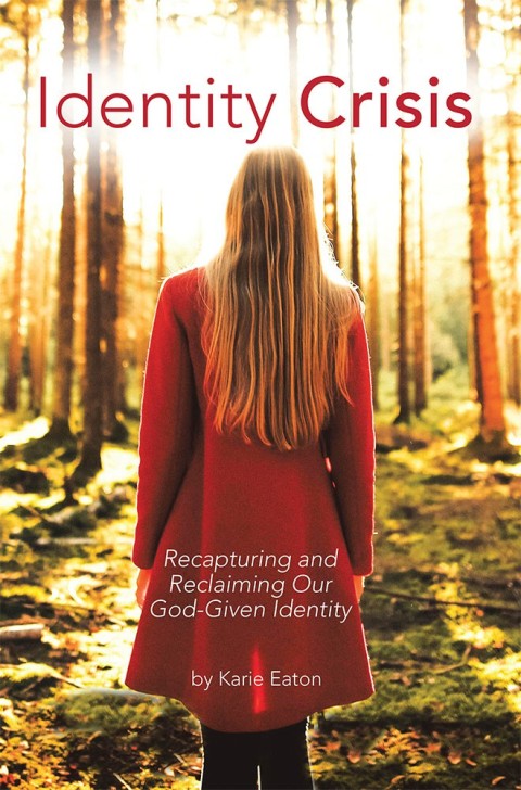 Cover image for book Identity Crisis