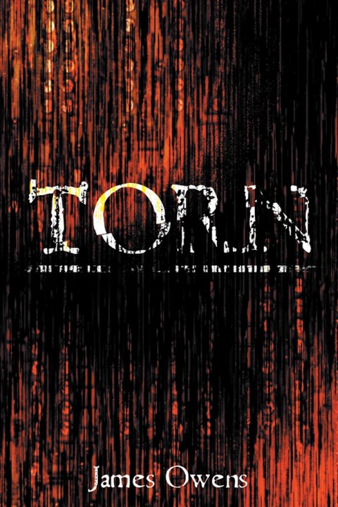 Cover image for book Torn
