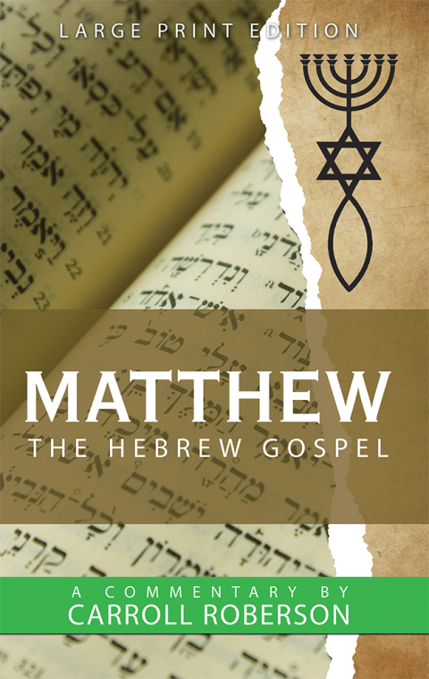 Cover image for book Matthew the Hebrew Gospel