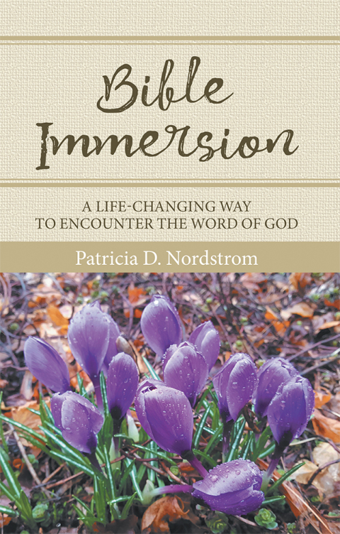 Cover image for book Bible Immersion