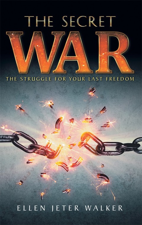 Cover image for book The Secret War