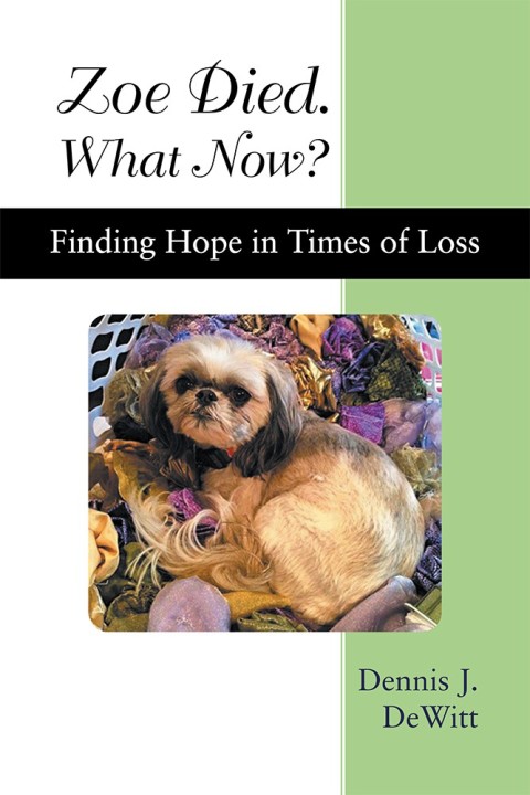 Cover image for book Zoe Died. What Now?