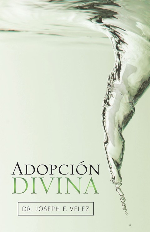Cover image for book Adopción Divina