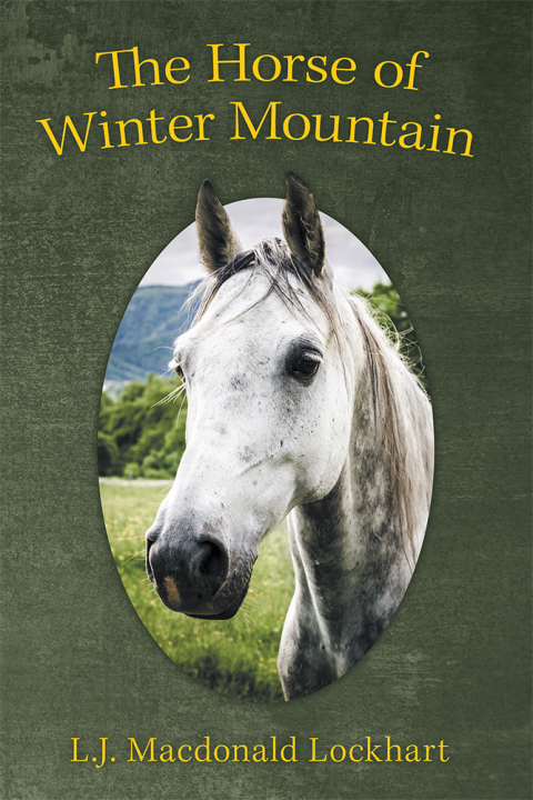 Cover image for book The Horse of Winter Mountain