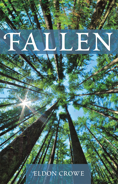 Cover image for book Fallen
