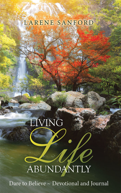 Cover image for book Living Life Abundantly