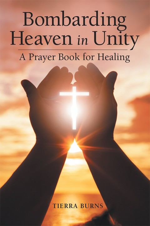 Cover image for book Bombarding Heaven in Unity