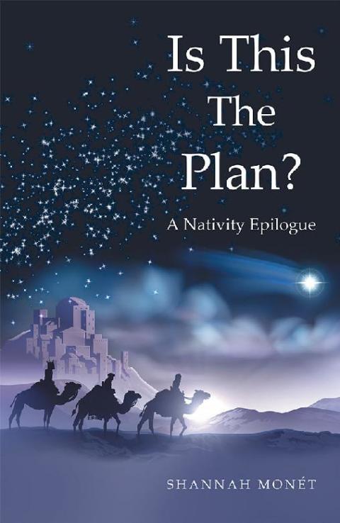 Cover image for book Is This the Plan?