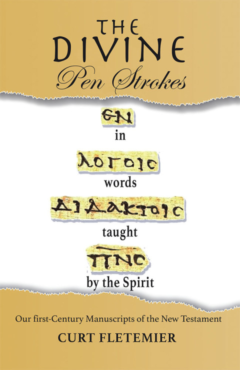 Cover image for book The Divine Pen Strokes