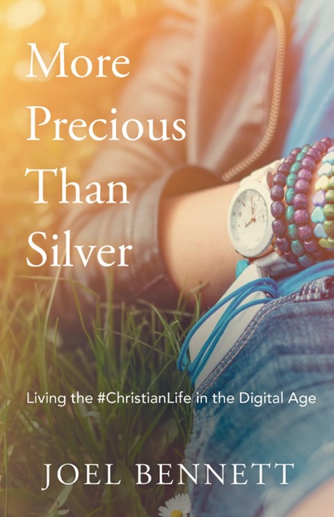Cover image for book More Precious Than Silver
