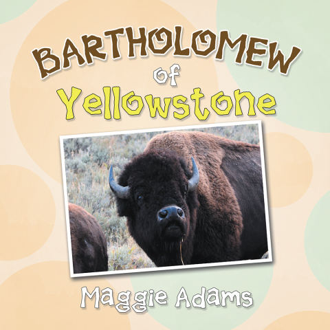 Cover image for book Bartholomew of Yellowstone