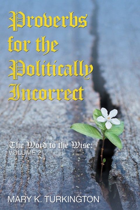 Cover image for book Proverbs for the Politically Incorrect