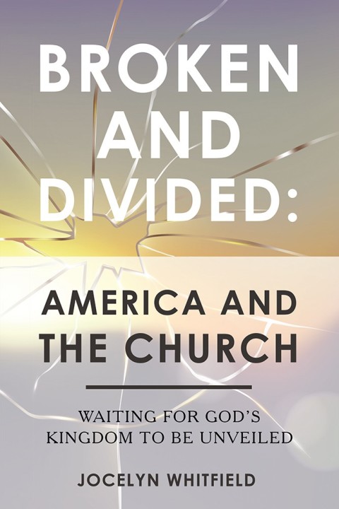 Cover image for book Broken and Divided: America and the Church