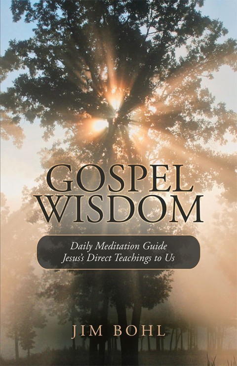 Cover image for book Gospel Wisdom