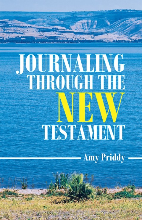 Cover image for book Journaling Through the New Testament