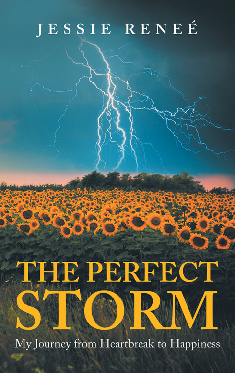 Cover image for book The Perfect Storm