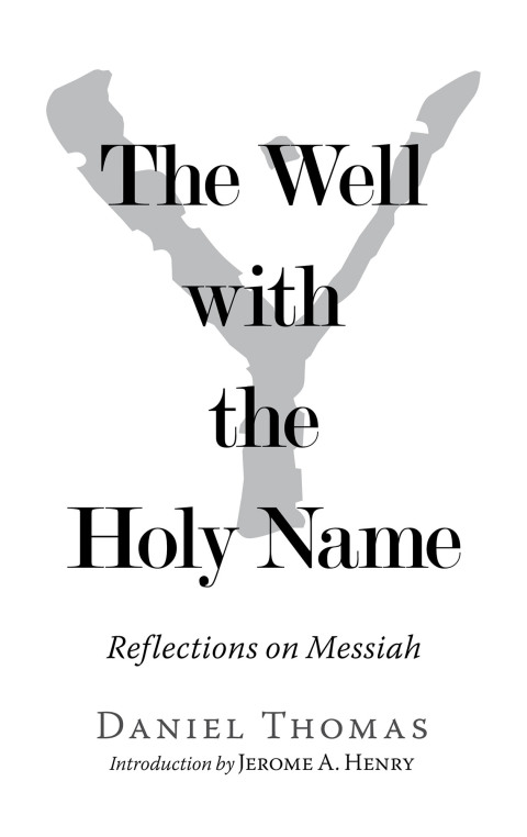 Cover image for book The Well with the Holy Name
