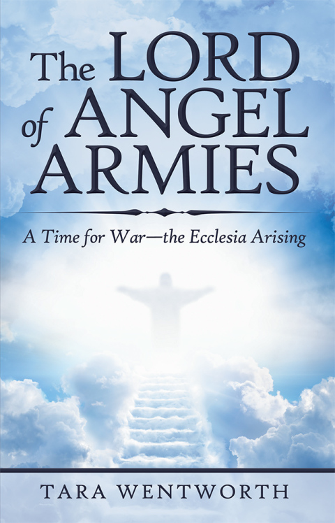 Cover image for book The Lord of Angel Armies