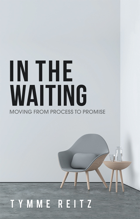 Cover image for book In the Waiting