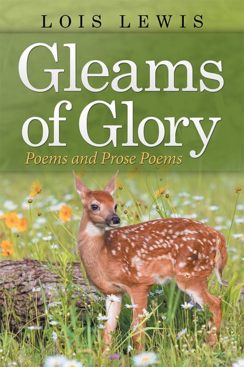 Cover image for book Gleams of Glory