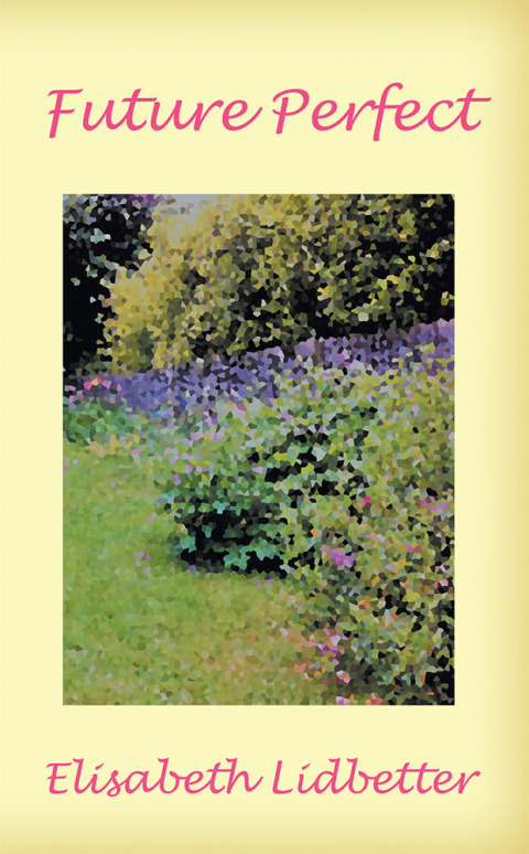 Cover image for book Future Perfect