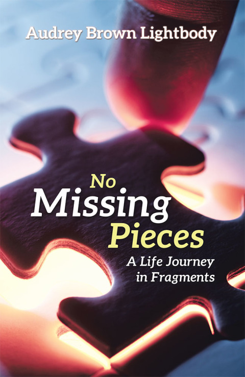 Cover image for book No Missing Pieces