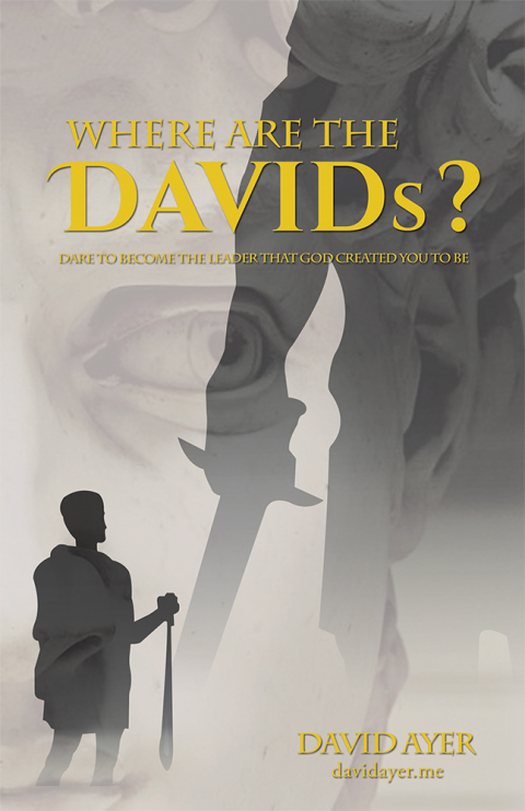 Cover image for book Where Are the Davids?