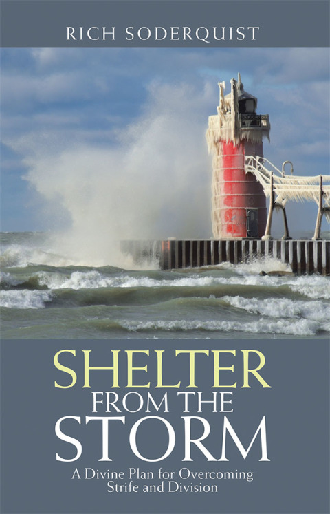 Cover image for book Shelter from the Storm