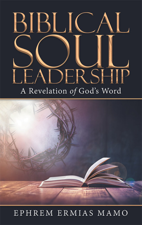 Cover image for book Biblical Soul Leadership