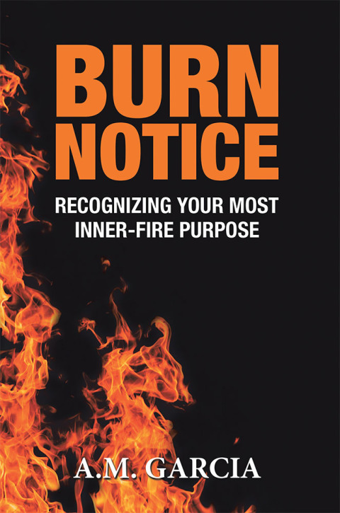 Cover image for book Burn Notice
