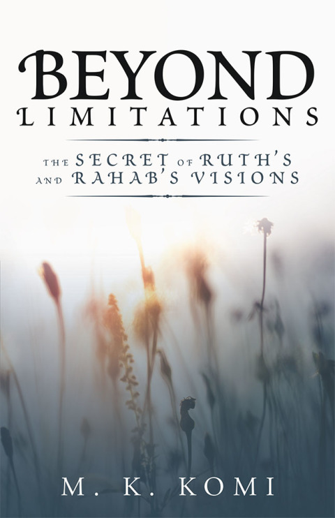 Cover image for book Beyond Limitations